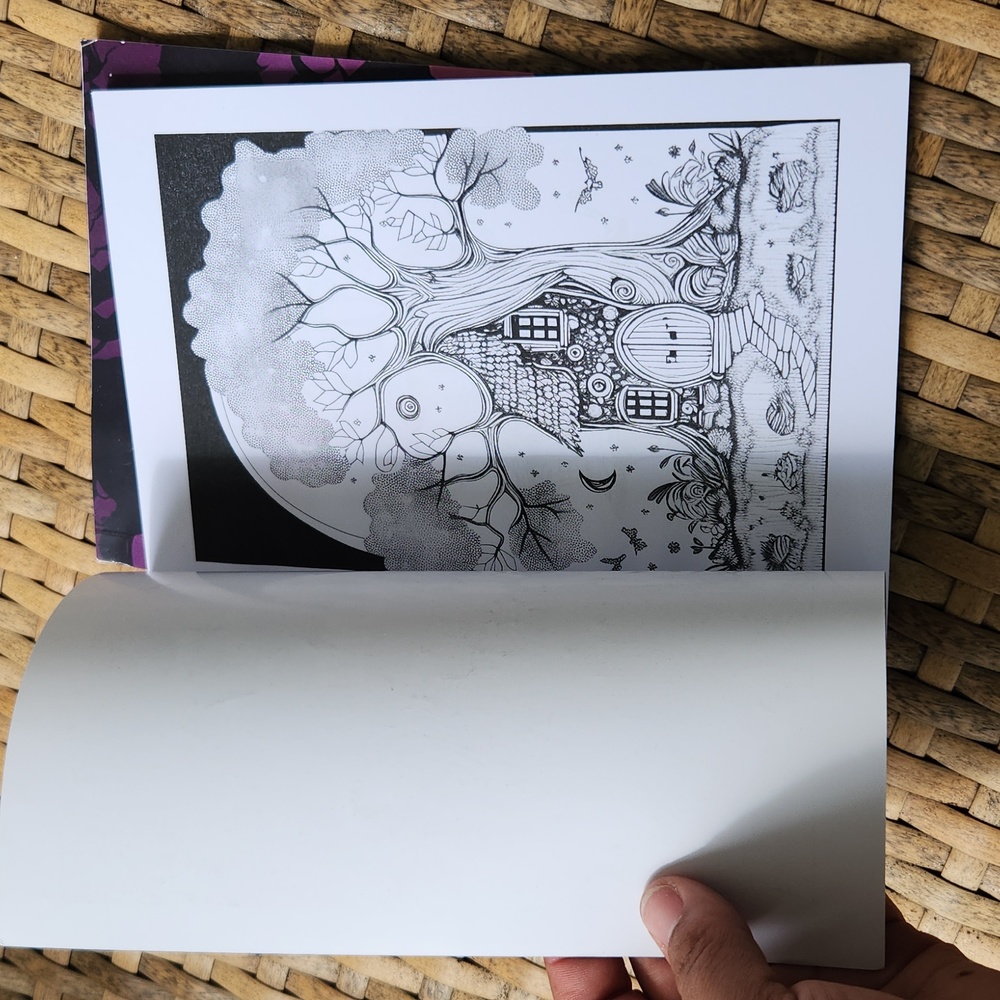 Adult Coloring Book Set - Picture 4 of 7
